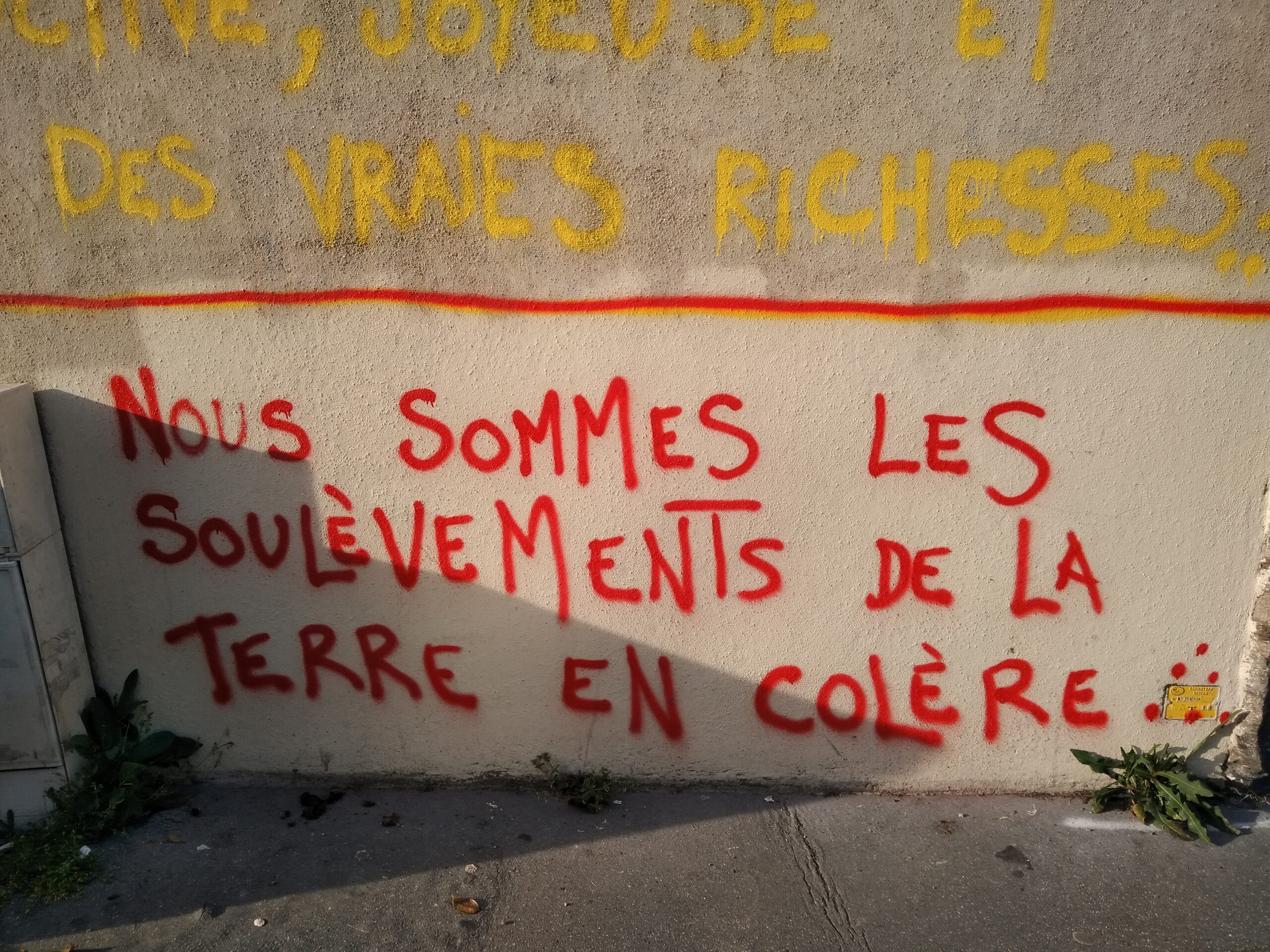  Le Gouvernement, par la volonté de son ministre de l’Intérieur, a acté la dissolution du mouvement 